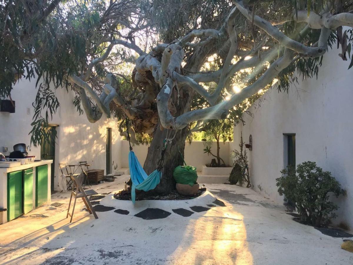 Patio II Studio At Finca La Asomada  Exterior photo